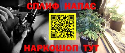 гидропоника Кунгур
