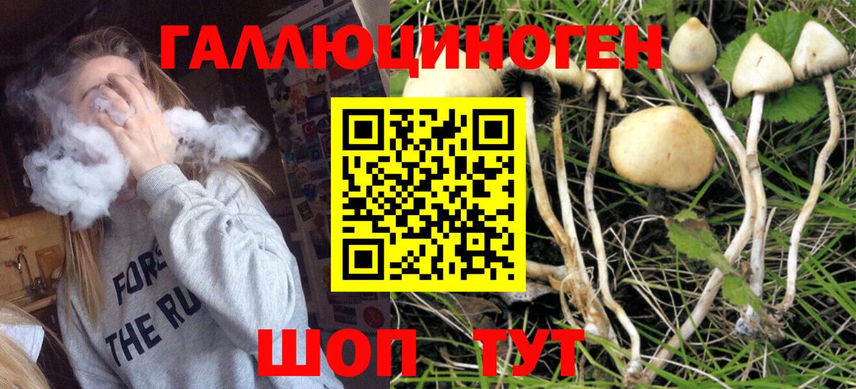Псилоцибиновые грибы ЛСД  Галлюциногенные грибы ЛСД  Вход с VPN  Сальск 